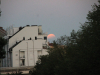 img_0208m