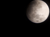 20190716_214453_0