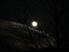 2011_12_10-17_15_59-0368