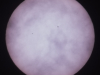 dscf4852