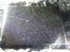 sled-10