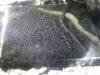 sled-11