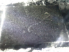 sled-16