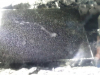 sled-17