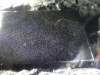 sled-18