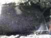sled-19